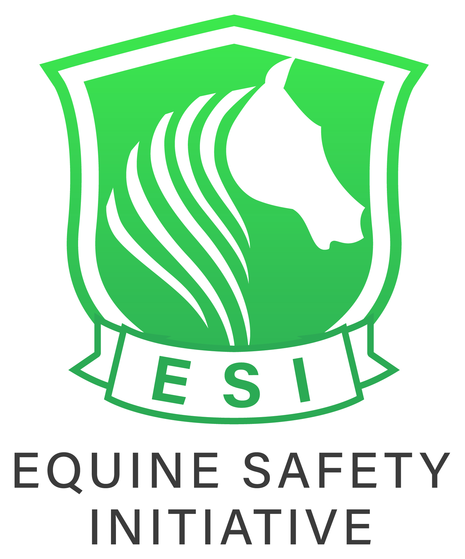 Equine Safety Initiative